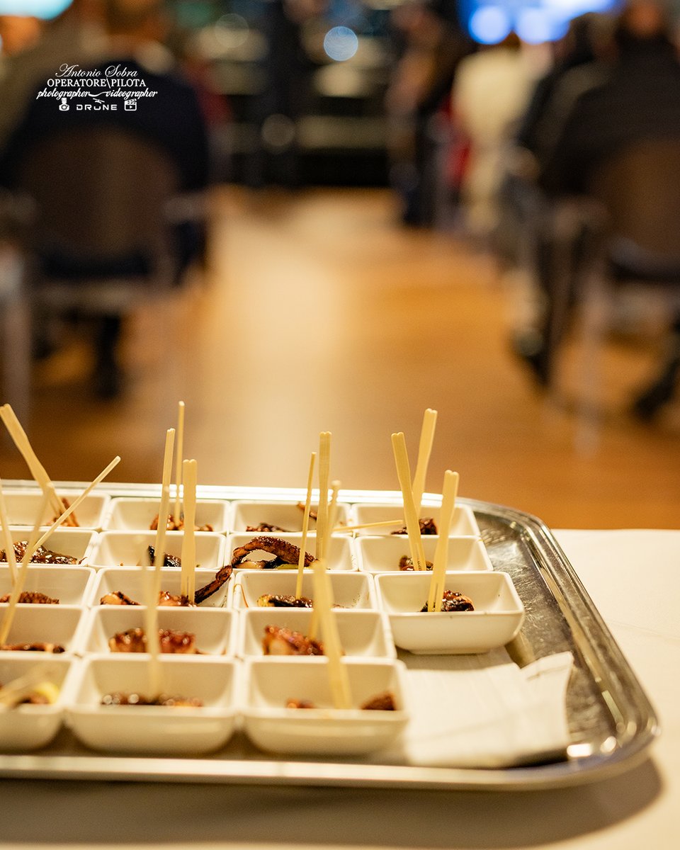 Finger Food Evento